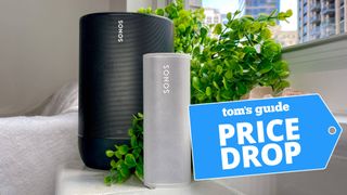 Sonos Move and Sonos Roam standing next to a house plant