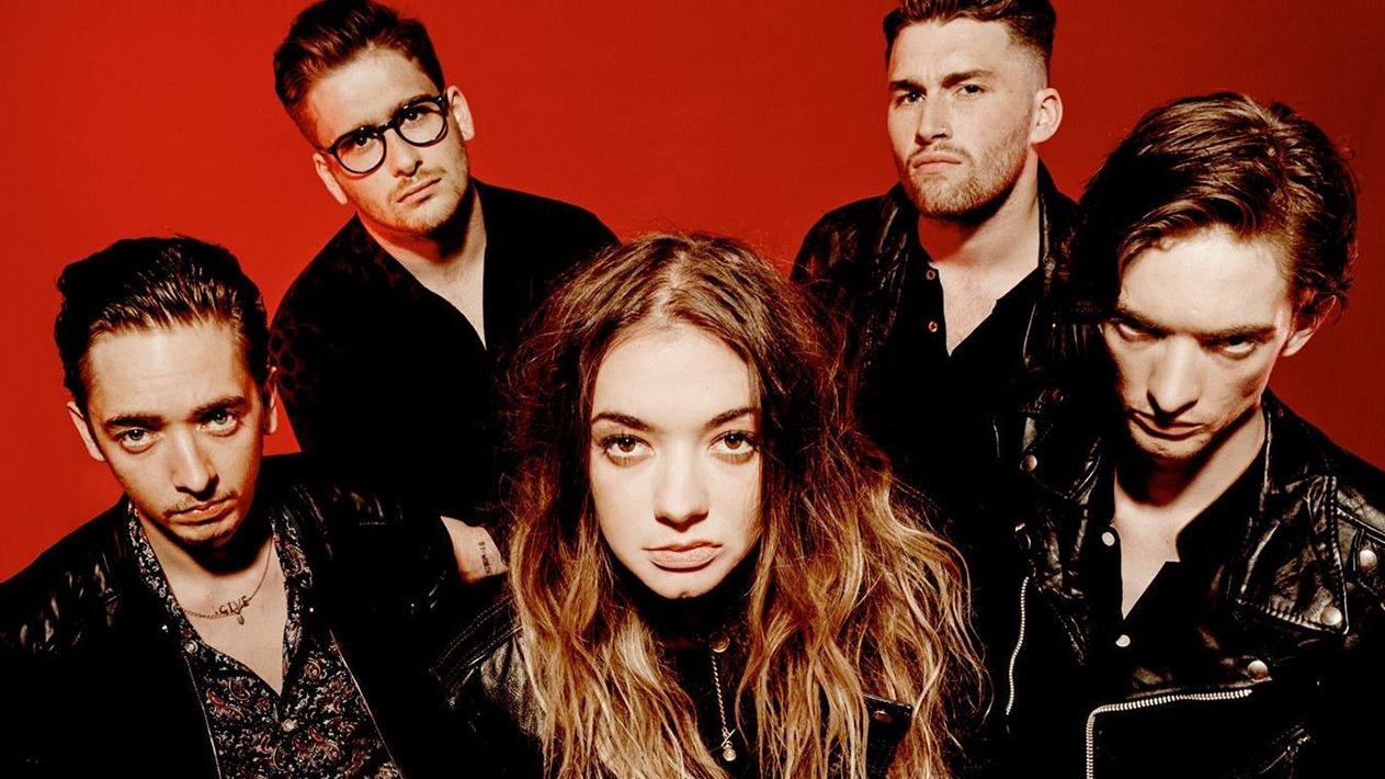 Marmozets