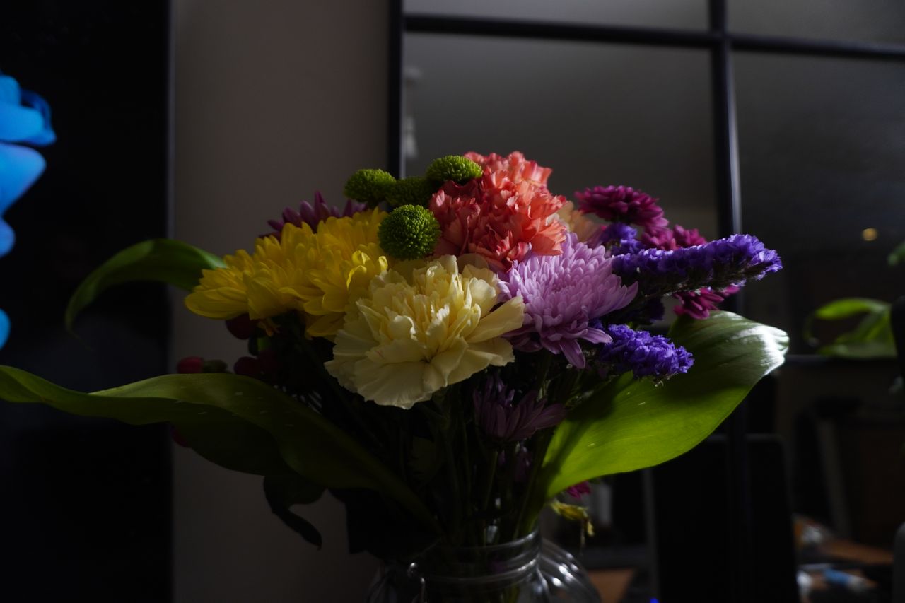 Sample photo shot on the Sony ZV-E10