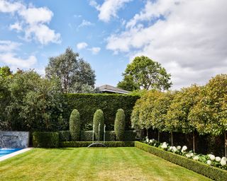 A neatly mowed lawn with box hedges and raised garden beds as borders.