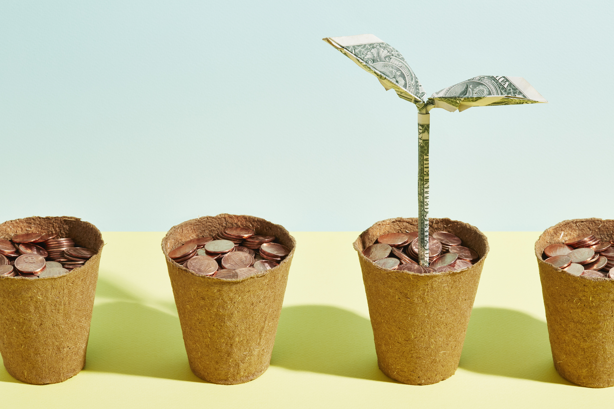 Four flower pots full of coins with a large seedling growing out of one of them