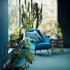 carpet colour trends for 2023, living room with teal carpet, teal armchair, large windows, plants 