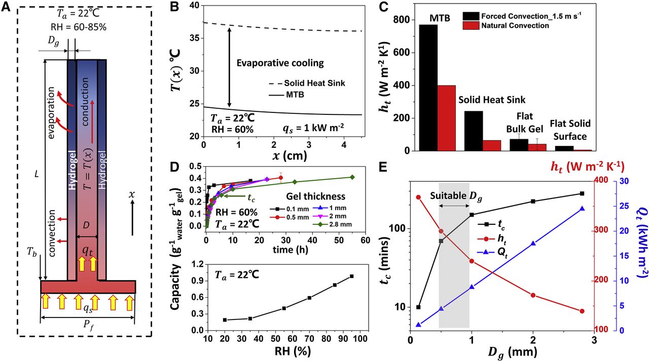 Hydrogel passive cooling