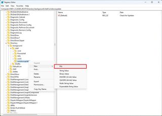 Registry create command for feature