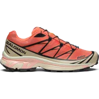 Salomon XT-6 