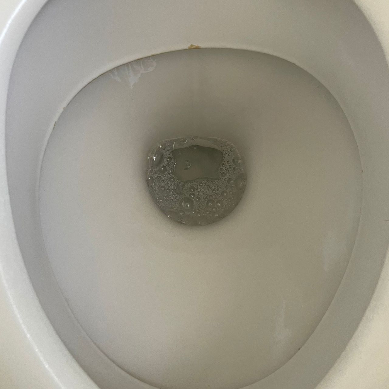 A white toilet bowl with a rip and water inside.