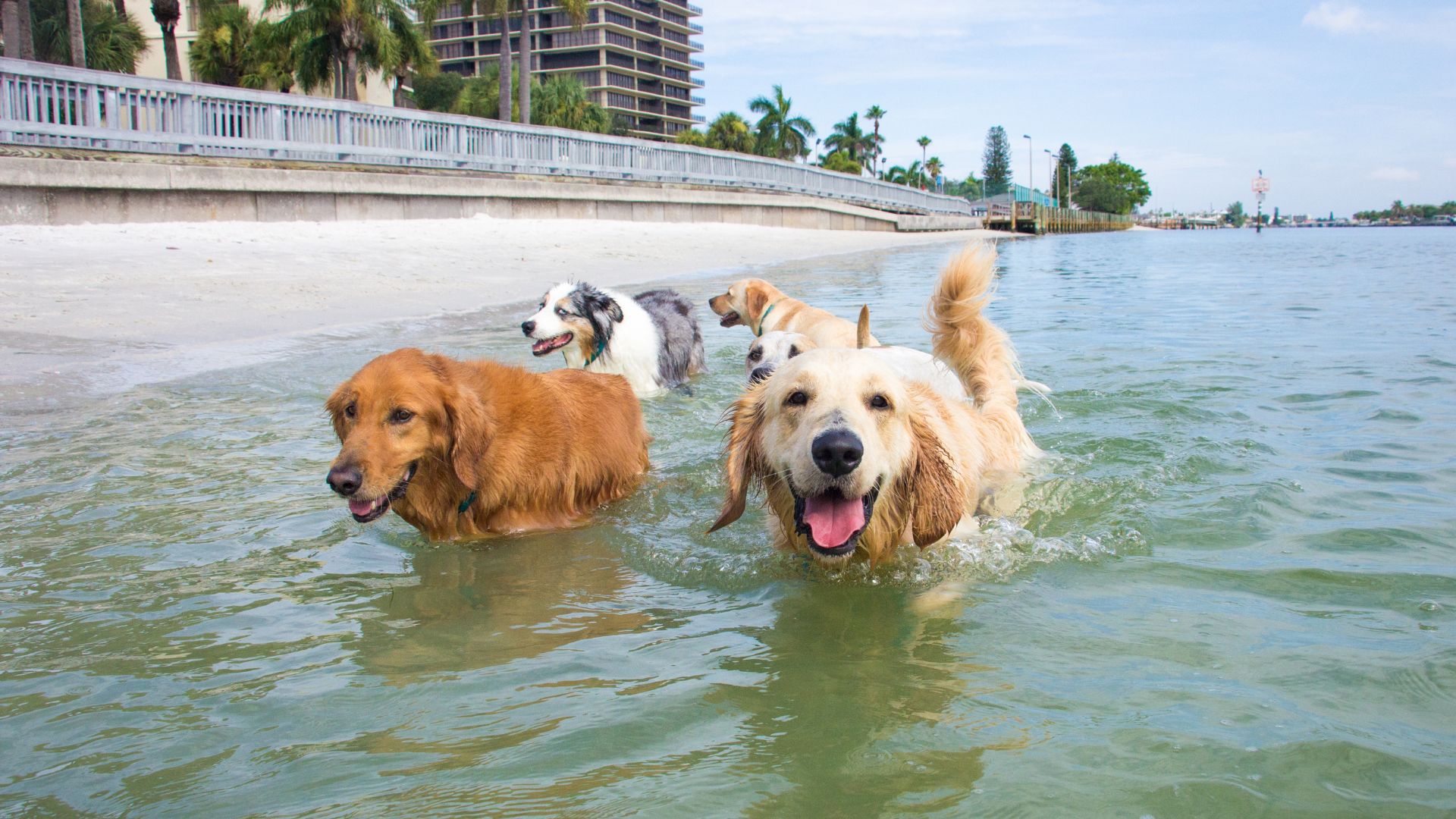 Keewaydin Island, Florida