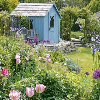 A blue shed with windows and a door in a colourful garden with lush green grass and lots of flowers.