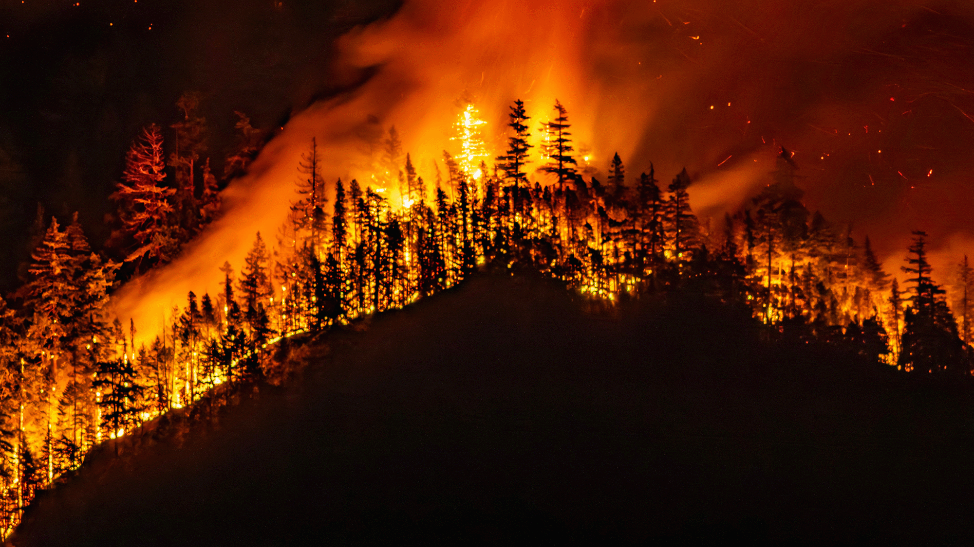 A raging wildfire on a forested hill glows against the night sky.