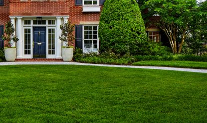 a well kept lawn at the front of a house