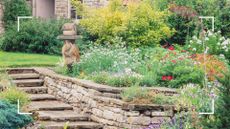  picture of garden with steps and plants