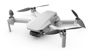 DJI Mavic Mini