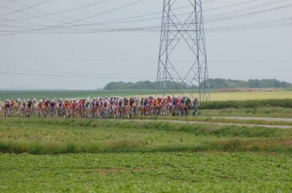 The peloton