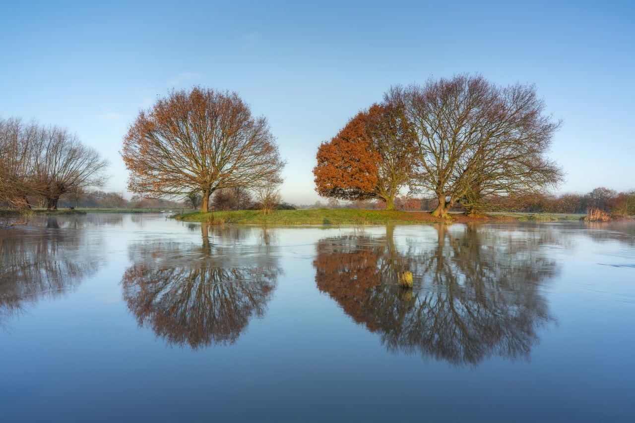 Luminar AI