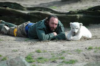 knut polar bear with zookeeper