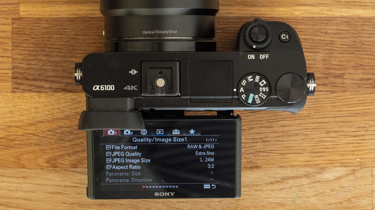 Sony A6100 review TechRadar