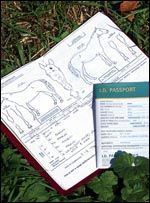 passportbdmain.jpg