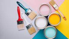 A selection of tins of paint with paintbrushes surrounding them