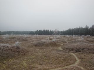 mima mounds in the prairies of Washington state.