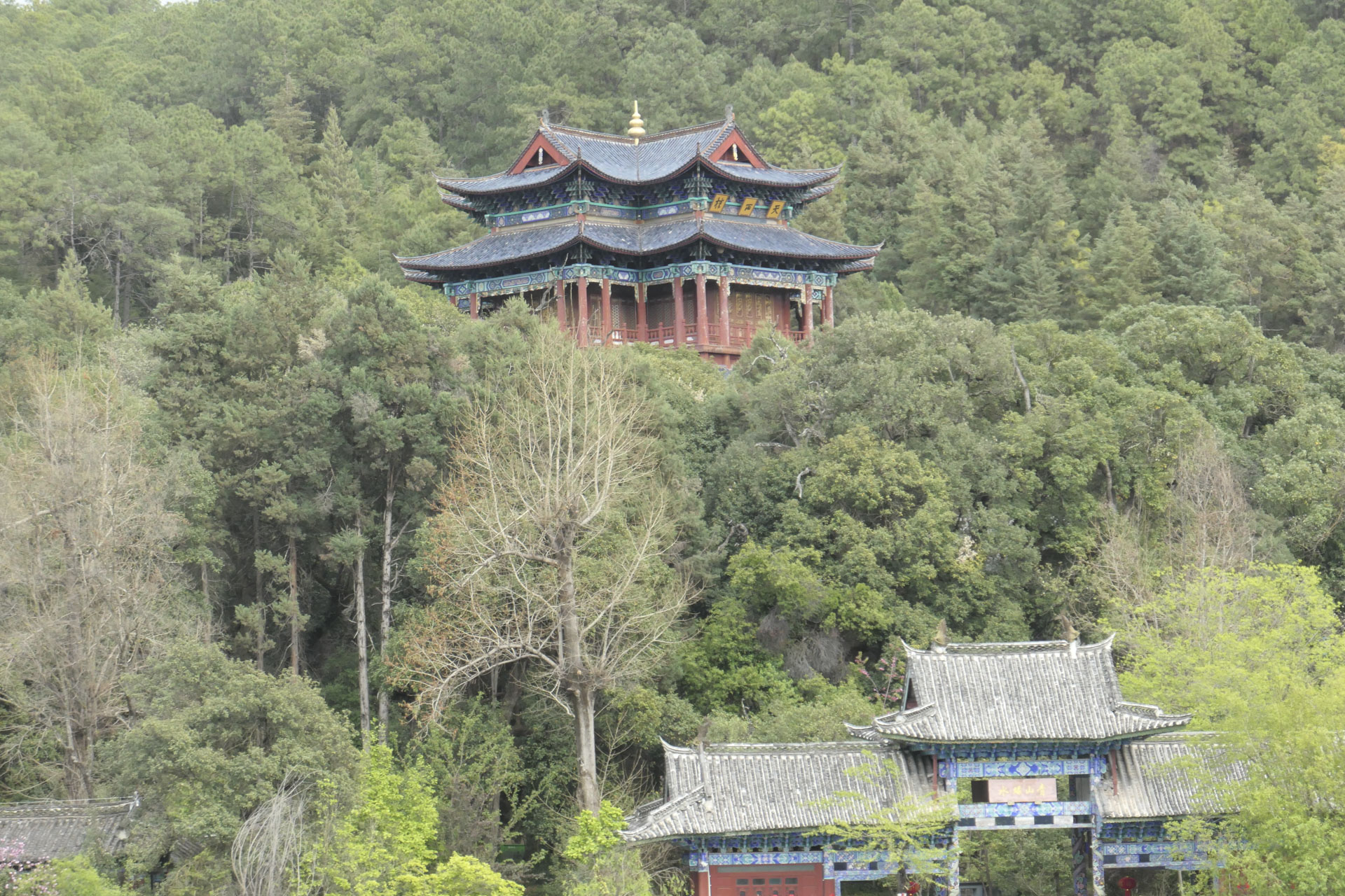 A Chinese temple nestled among trees