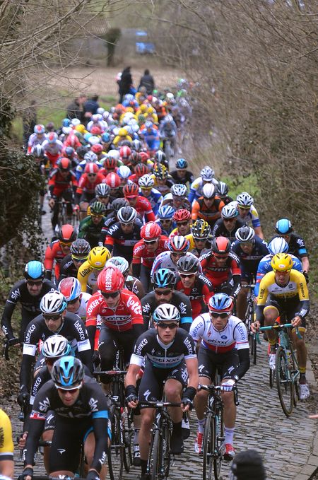 The 2015 Kuurne-Brussel-Kuurne peloton
