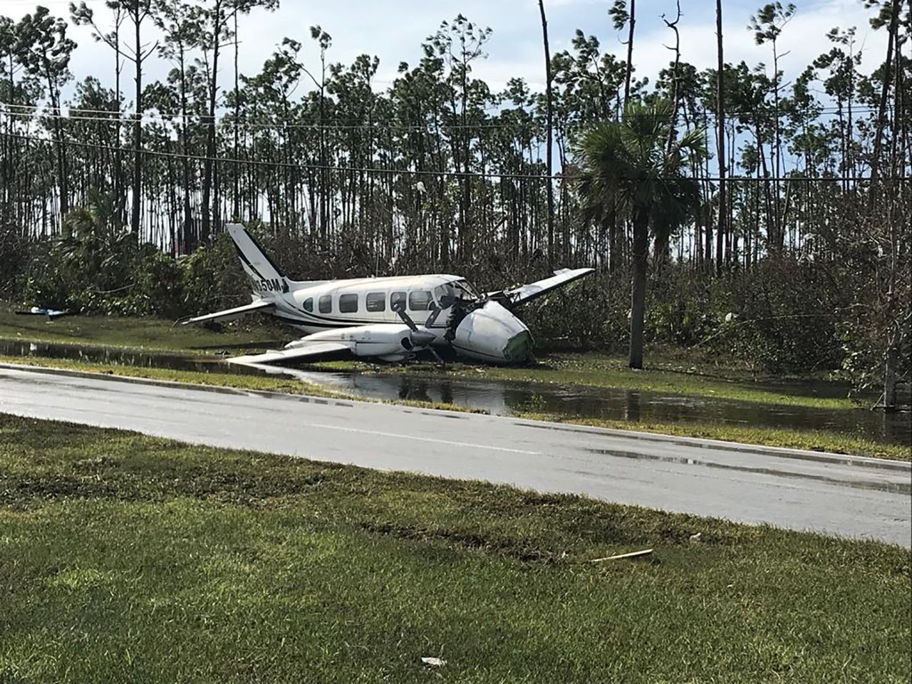 A damaged plane on the ground among trees