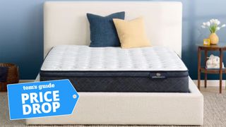 Serta mattress