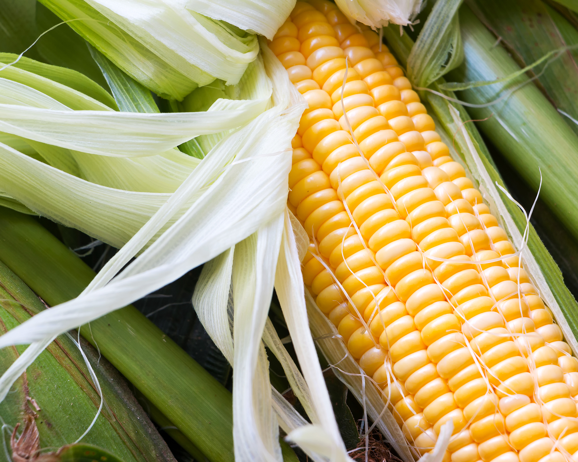 Sweetcorn on the cob