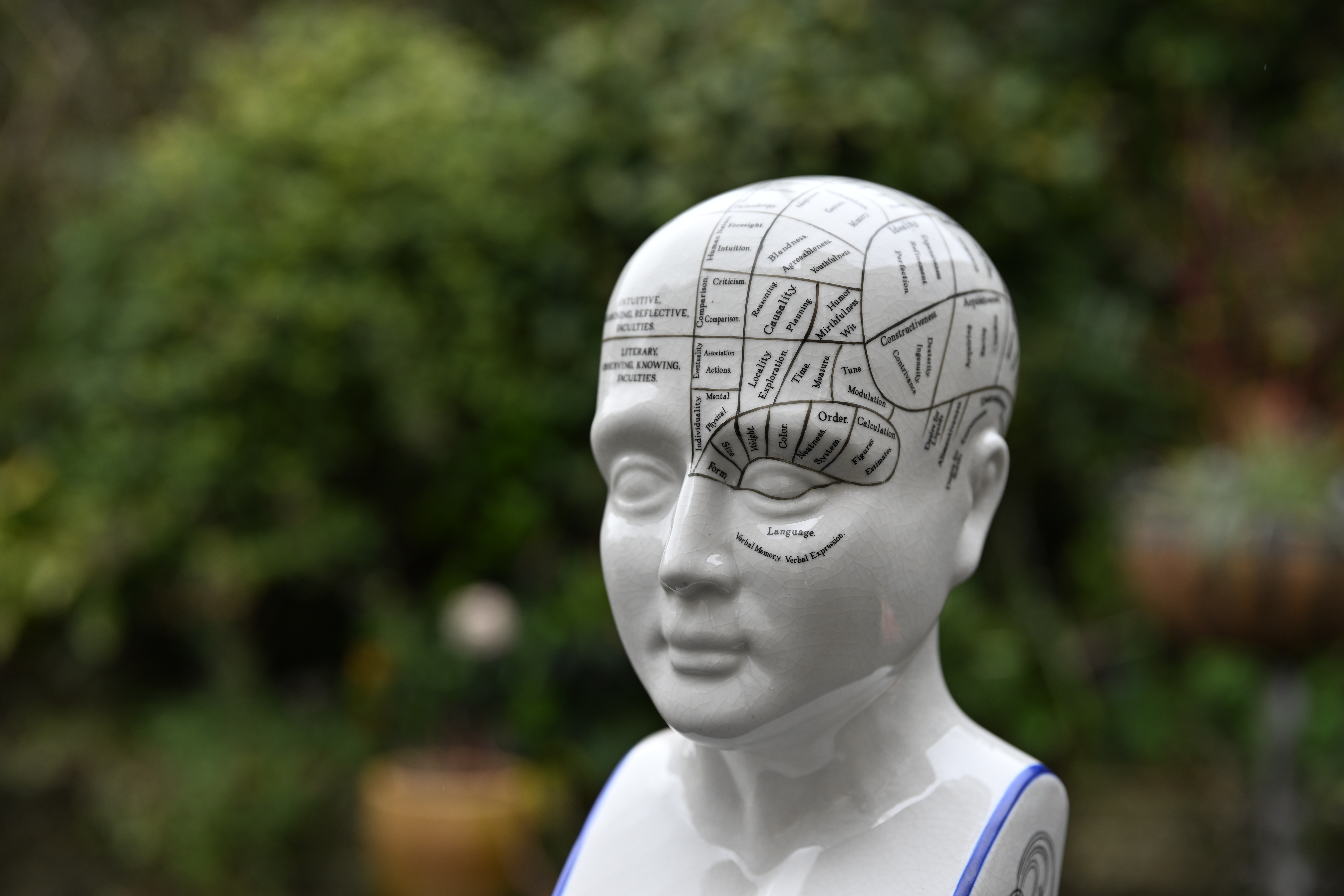 Viltrox AF 55mm f/1.8 Evo sample image