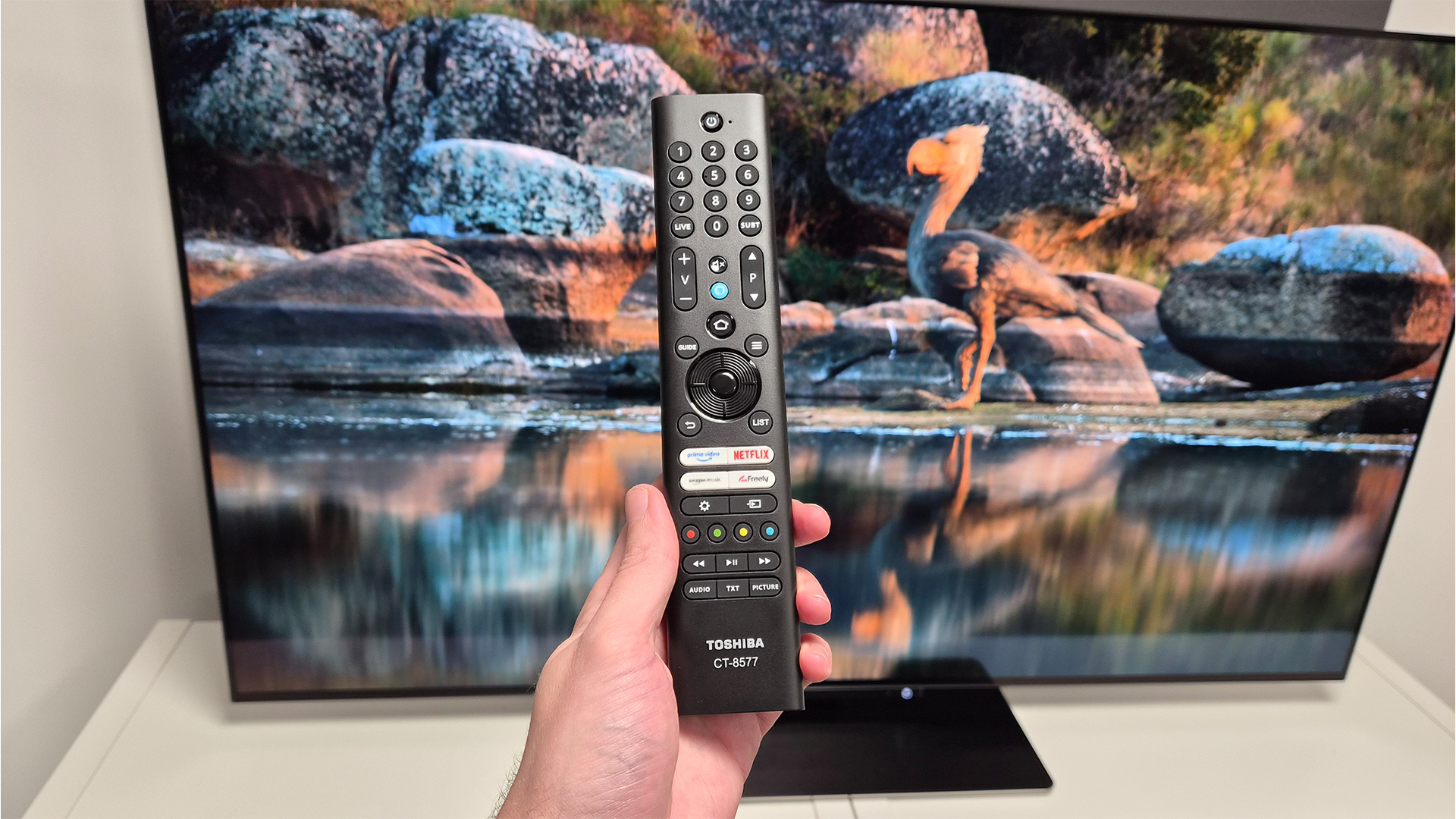 Toshiba XF9F OLED TV remote control held in hand in front of TV, on screen is flightless bird by a lake