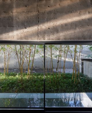 Concrete walls and planting at Surat House by Matharoo Associates in India