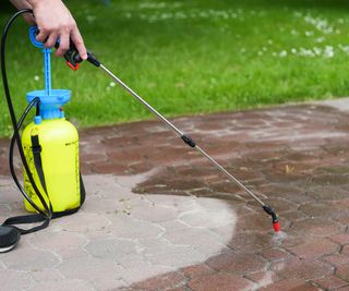 Spraying organic, environmentally-friendly spirit vinegar onto the natural stone pavement (driveway, parking lot) to remove weeds and moss