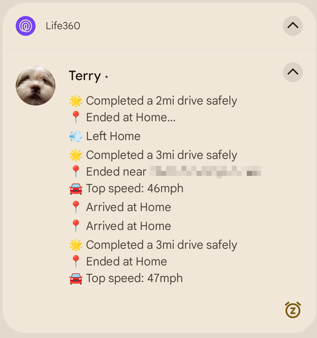 Life360 notifications