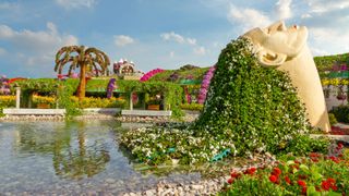 Flower sculptures at Dubai Miracle Garden