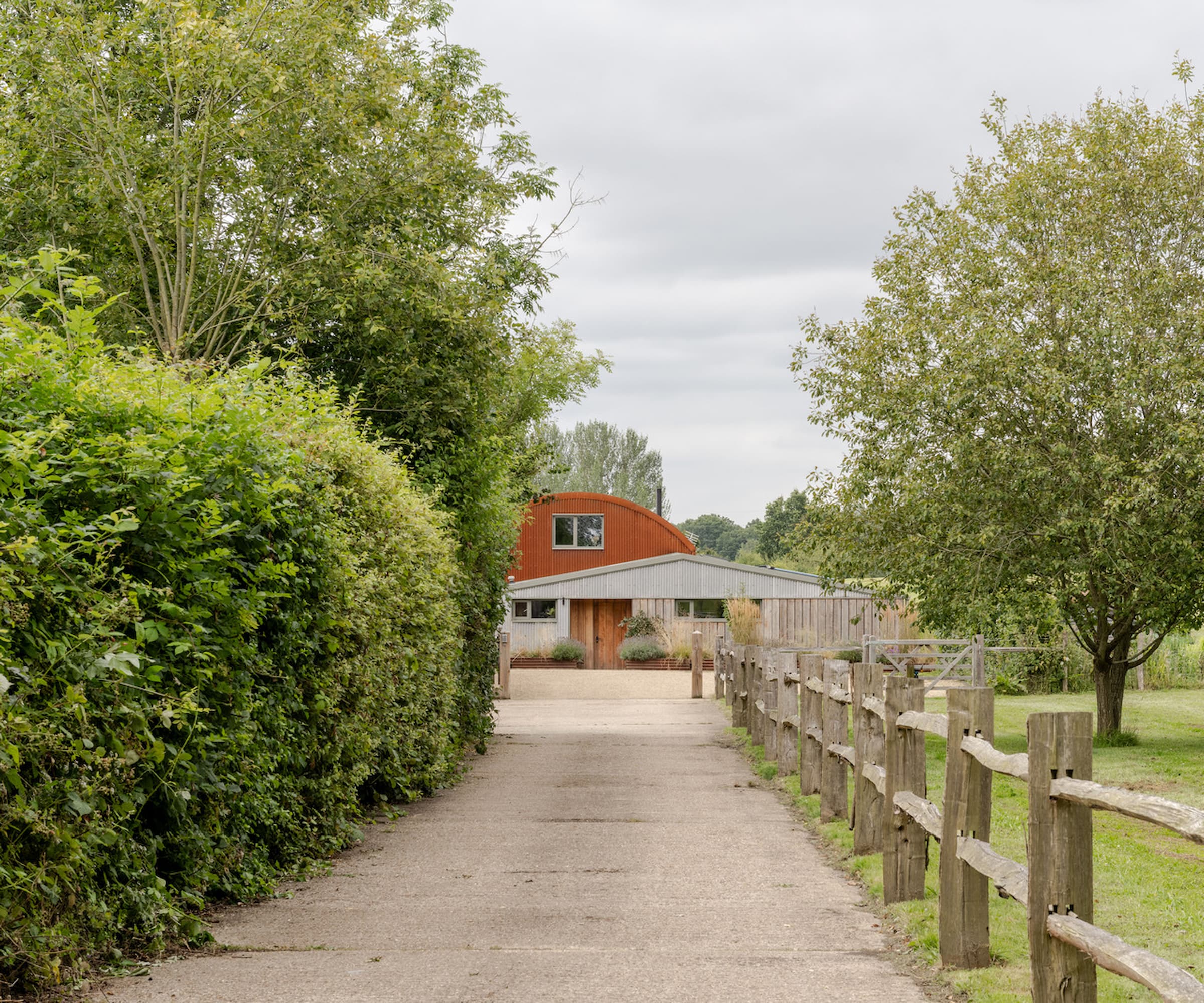 A driveway with a hedgerow along one side and a wooden fence the other