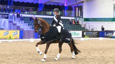 woman riding a horse at a canter. She wears a winners sash and the horse wears a winners rug