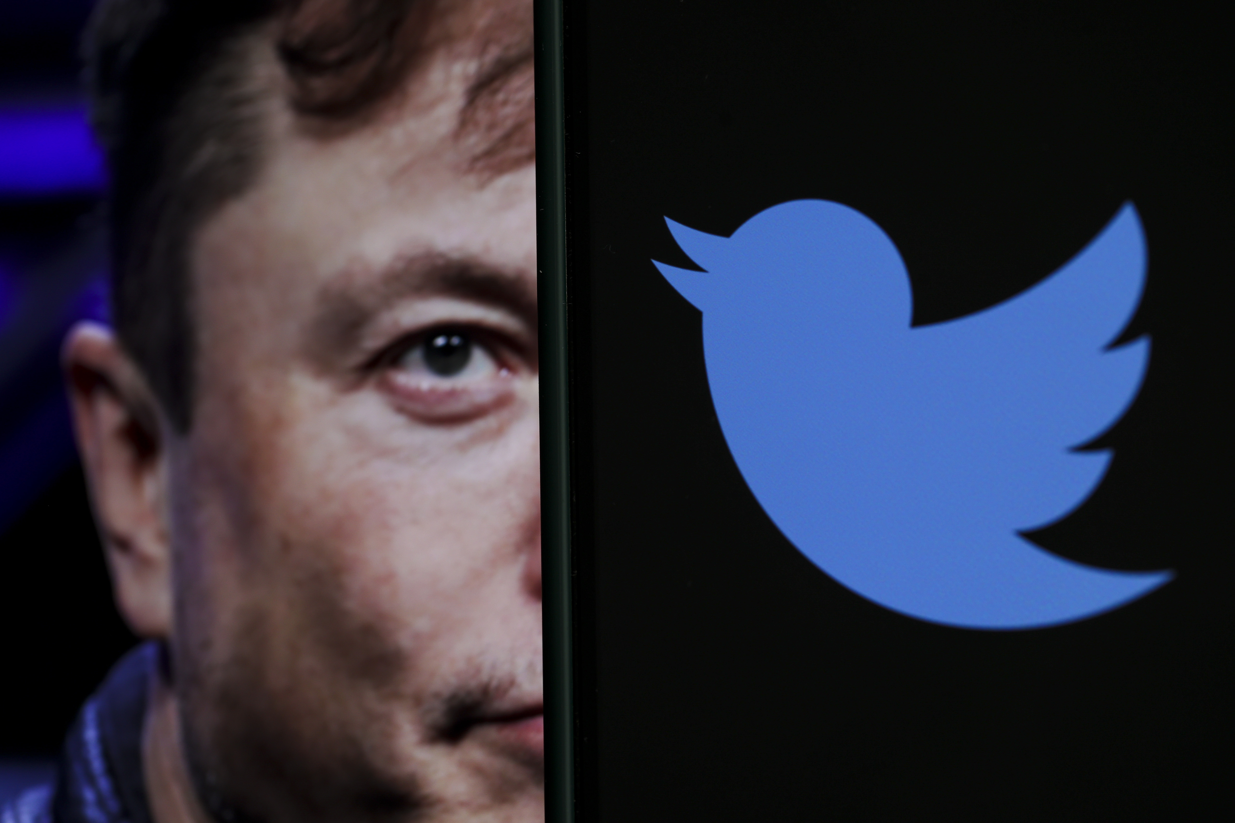 How Musk's Twitter takeover is playing out worldwide – POLITICO