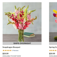 Best Harry &amp; David flowers deals right now