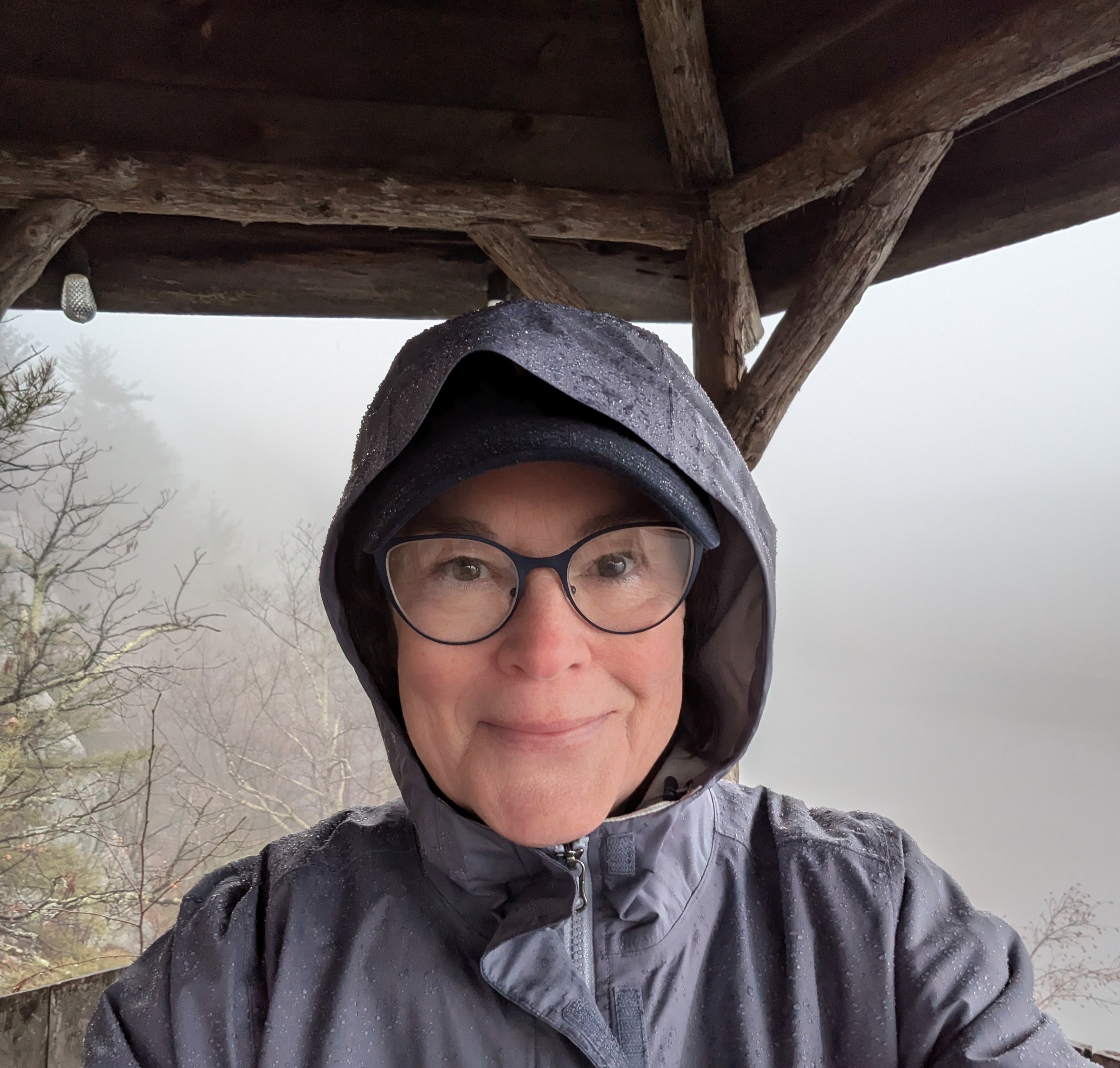 Karen Gershenhorn