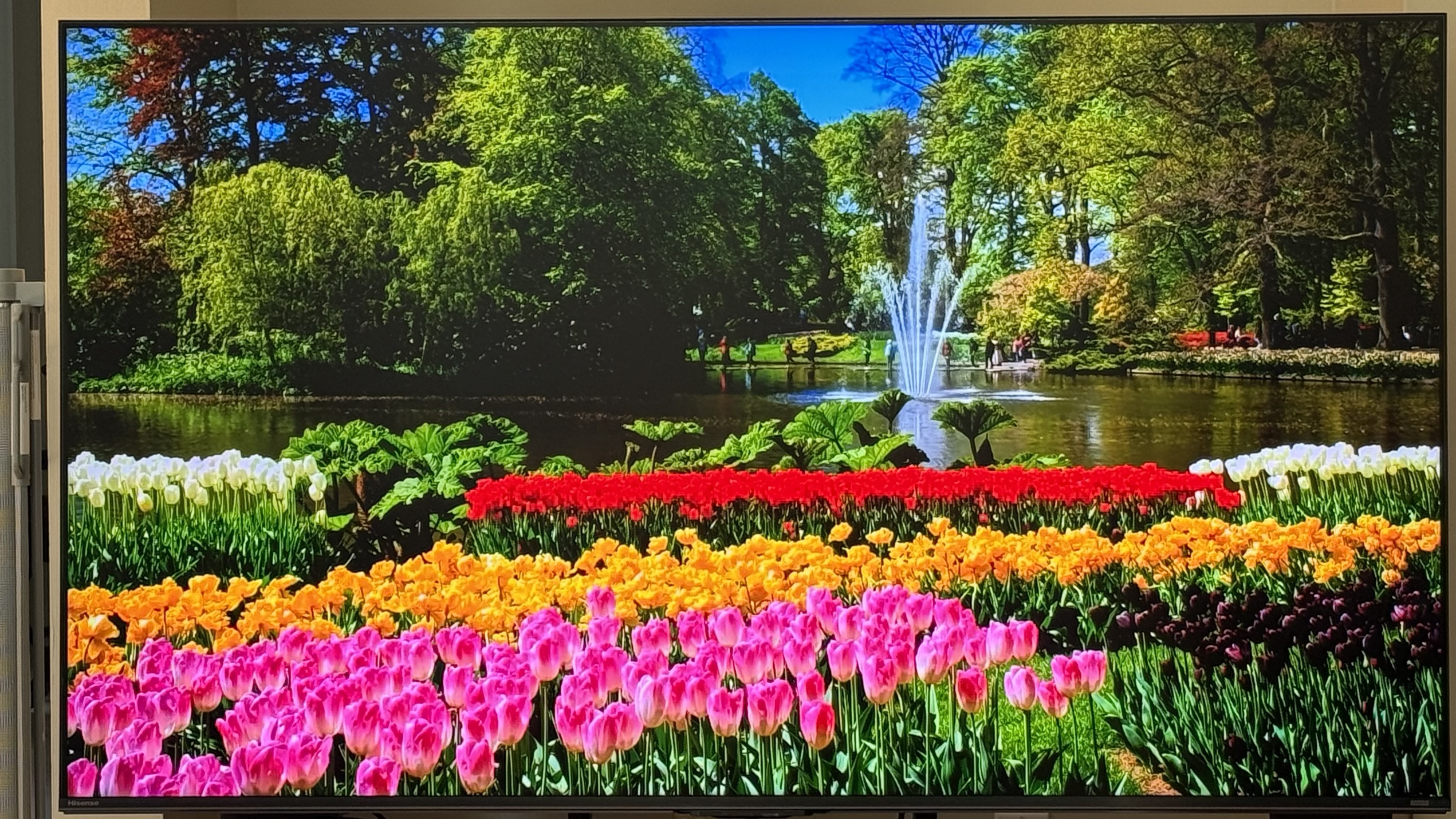 Hisense U7 image with color bleeding