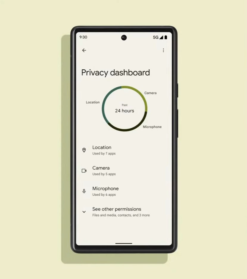 Google Pixel 6 security