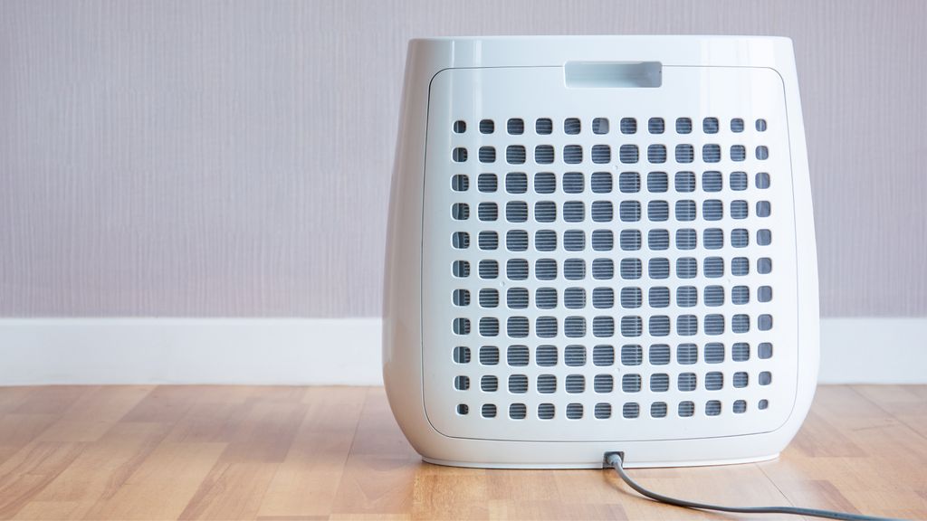 Does a dehumidifier help with mold? Real Homes