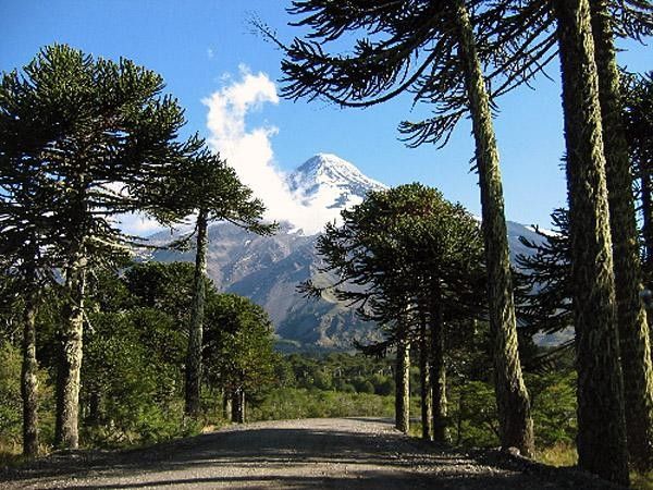 The Lanin Volcano