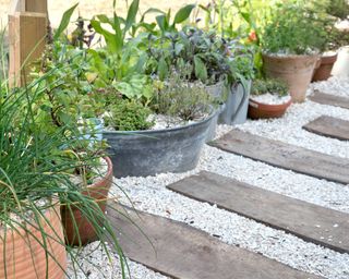 gravel path with sleeper stepping stones and potted plants