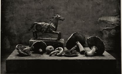 Don McCullin still life from the exhibition Don McCullin in Rome at Palazzo Esposizioni Roma