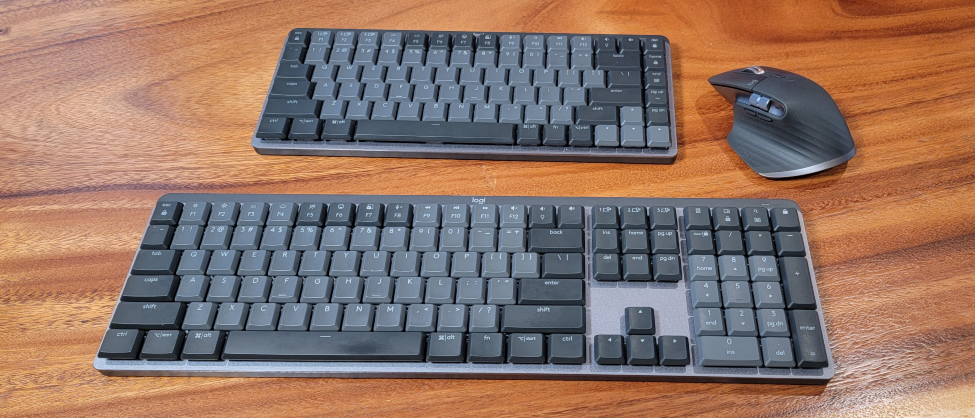 Logitech MX Mechanical Typing test 