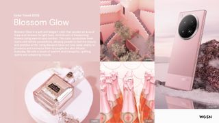 A montage showcasing the Blossom Glow image colour trends for Inifinix