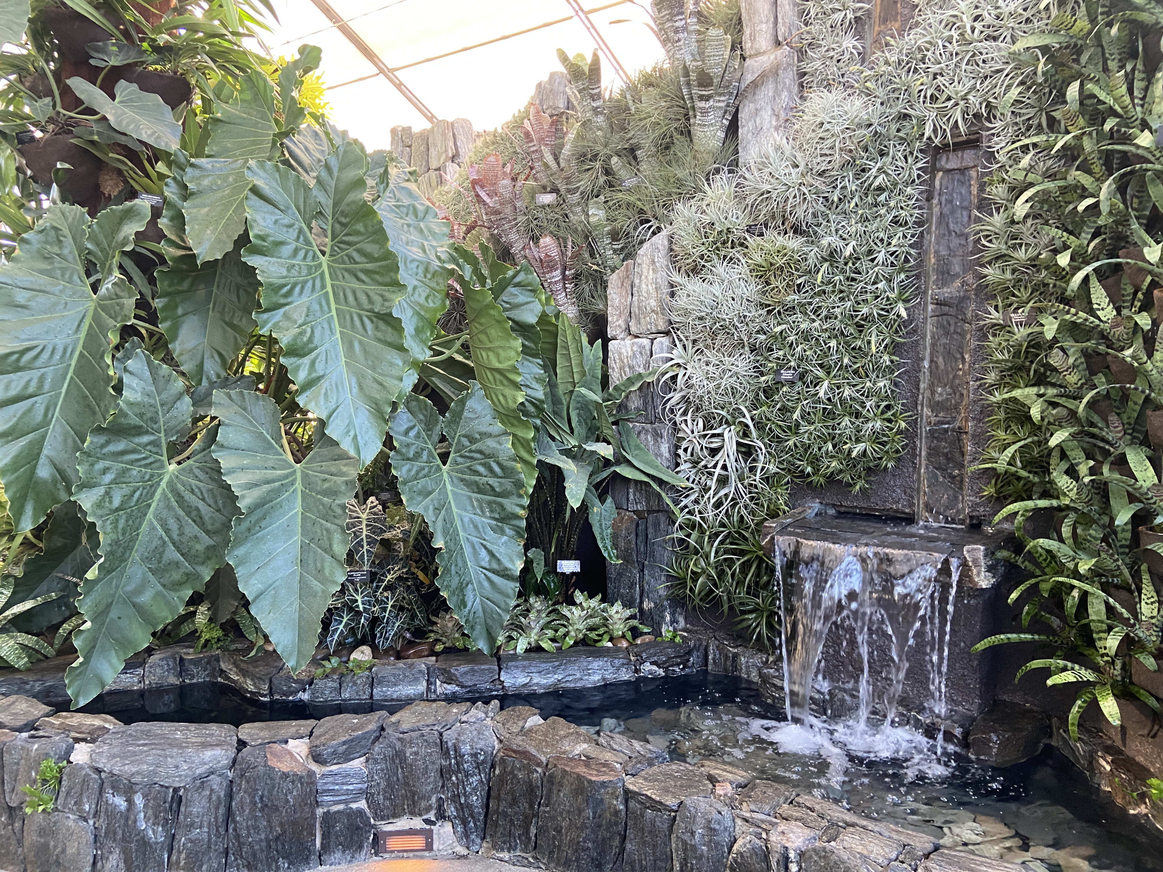 Cascade Garden, Longwood Gardens, Kennett Square, PA, 2024