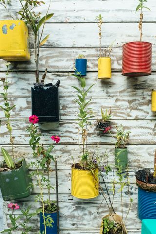 Tin can DIY vertical planter idea