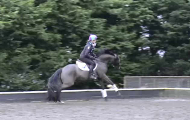 Lady-Riding-horse
